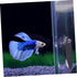 1 Set Acrylic Betta Training Mirror Round Mirrors Double Sided Mirror Fish Aquarium Decoration Betta Training Exercise Fighting Fish Mirror Floati...