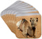 3dRose CST_164767_2 Smiling Camel Resting at Bedouin Camp in Oman Photo by Rhonda Albom Soft Coasters, (Set of 8)...