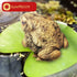 Frog Toad Sculptures Garden Statues Yard Art Resin Decorations Outdoor Garden Decor...