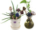 Accessories 8PCS Ceramic Mushroom Garden Pot Decoration Mushroom Figurine Indoor and Outdoor Flowerpot Decoration Lawn Tree Ornaments Pottery...