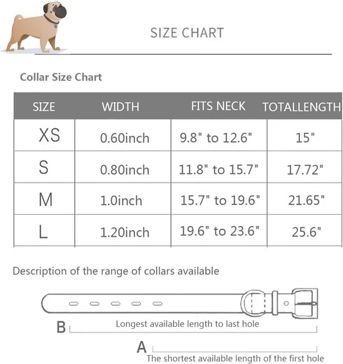 Leather Dog Collar for Medium Dogs Modern Stylish Look Best -Black...