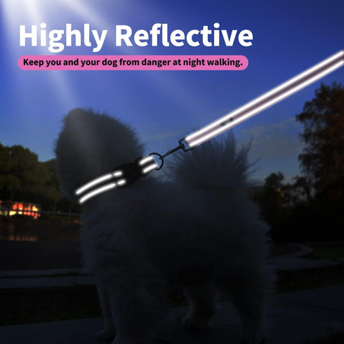 IVY&LANE Reflective Dog Collar and Leash Set,Adjustable Neoprene Padded Dog Collars, Breathable Nylon Pet Collar for Small Medium Large Dogs, 5FT ...