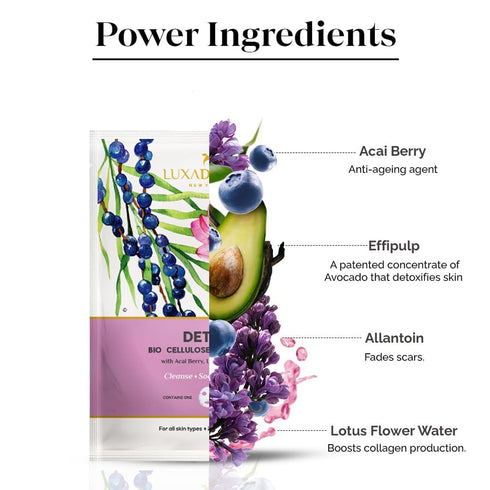 LuxaDerme Detox Bio Cellulose Face Mask, Moisturizing and Brightening Skincare Face Mask, Korean Sheet Masks for Glass Skin with Acai Berry, CoQ10...