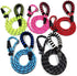Dog Leash (Green)...