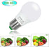 Honle E26 LED Light Bulbs 3W 12V Low Voltage Warm White 3000K E27 Edison Standard Screw Base 25W Equivalent Pack of 2...