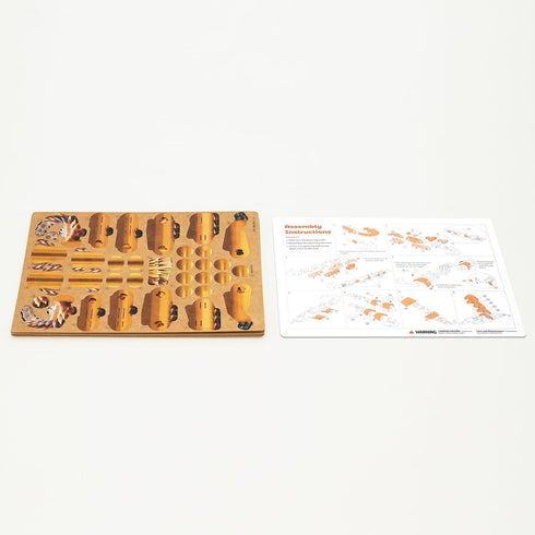Educational Toys Celebrate with Learning STEM Toy for Boys and Girls - Early Development, Learning, and Social Interaction at Valentine's Day and ...