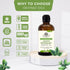 Japanese Peppermint (Mentha arvensis) Essential Oil with Premium Dropper - Therapeutic Grade, 100% Pure, Natural Oil for Aromatherapy, Diffusers, ...