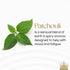 Gonesh - Extra Rich Scented Incense Sticks - Non-Toxic 10” Slow Burn Aromatic Sticks - Patchouli - 4 Packs of 20-80 Count...