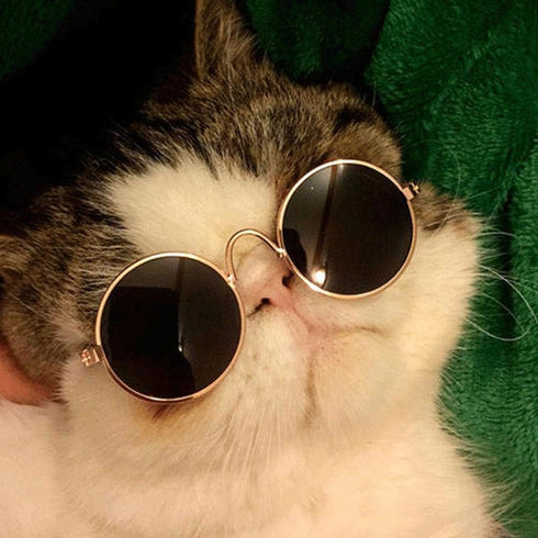 Funny Cat Small Dog Sunglasses Vintage Round Metal Reflection Sunglasses Pet Photos Cool Props Accessories Dog Sunglasses...