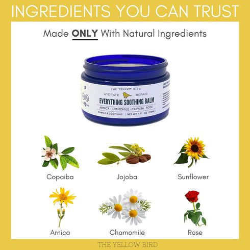 Yellow Bird Natural Soothing Foot & Body Balm - Everything Skin Moisturizer, Organic Itch Relief Cream, Baby Diaper balm, Soothing Gentle Moisturi...
