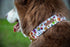 Elegant little tail Dog Collar with Bow - Fall Dog Collar Halloween Candy Bow Girl Boy Pet Collar Soft Dog Bowtie Collars for Small Dogs...
