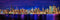 New York City 2022 Manhattan Midtown Skyline PHOTO PRINT UNFRAMED NIGHT COLOR NYC 11.75 inches x 36 inches Photographic Panorama Print Photo Pictu...