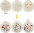 3 Pack Embroidery Starter Kit for Beginners Stamped Cross Stitch Kits with Cute Flowers and Plants Patterns with Embroidery Hoops and Color Thread...