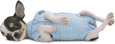 LOPHIPETS Girl Dog Shirts Recovery Suit Pajamas for Small Teacup Dog Chihuahua Yorkie Puppy Cat Clothes-Cambridge Blue Strips/XXS...