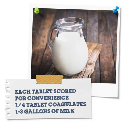 Microbial Rennet For Cheese Making | Vegetarian Rennet Tablets | Milk Coagulant | Vegan Cheese making | Shelf-Stable Rennet Tablets, Perforated Fo...