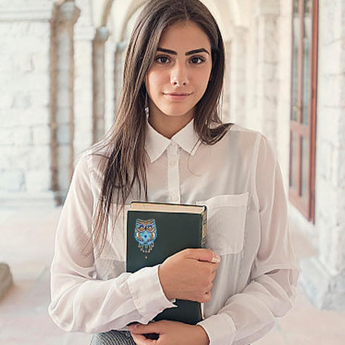 FREEBLOSS 6 Pcs Beaded Embroidery Kit Owl Sew on Patches Kit Beaded Appliques Sequin Patches Beaded Sew on Patches Embroidered Decorative Patch Se...