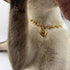 Dog Collar and Cat Chain Necklace Stainless Steel Adjustable 18K Gold Heart-Shaped Necklace for Small Pets Cats Kitten Puppy (Gold, 7 inch)...