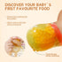 Baby Fruit Feeder Set, BPA Free Baby Food Feeder Food Grade Silicone Feeder for Baby with Freezer Tray and Pacifier Chain (Brown Rabbit)...