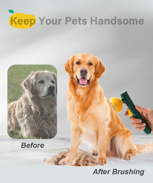 Dog & Cat Brush, Cute Mango Self Cleaning Cat Brush for Shedding and Deshedding, Deep Cleaning Pet Brushes Pumpkin for Dogs Cats Puppy Rabbits Bun...