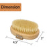 Soft Bristle Dog Brush for Short Haired Cats Dogs with Elastic Band, Natural Bristle Dog Palm Brush for Cats Dogs Brush...