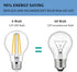 KEIVO 12V LED Bulb, 60 Watt Equivalent, 12-24V AC/DC, Soft White 2700K, 6W 800lm, E26 Base, A19 Low Voltage Edison Filament Bulbs for Off-Grid Sol...
