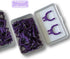 Evolutionary Clean Dental Flossers, Kit of Refills Plus Long Handle (200 T-Tension Refills)...