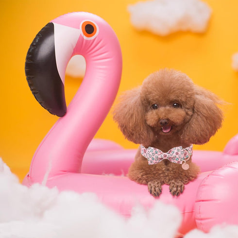 Valentine’s Day Dog Collar with Bow Tie, Pink Heart Bowtie Collar with Metal Buckle, Valentine’s Day Gift Pet Collar for Puppy Girl Boy Dog or Cat...