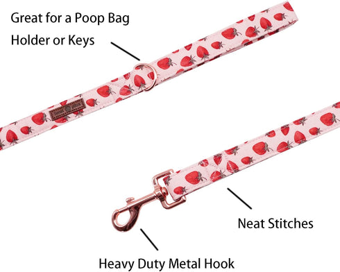 Lionet Paws Dog Leash Matching Dog Collar for Small Medium Large Dog...