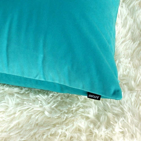 Artcest Cozy Solid Velvet Throw Pillow Case, Decorative Couch Cushion Cover, Soft Sofa Euro Sham with Zipper Hidden, 24"x24" (Light Teal)...