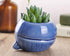 VanEnjoy 5" Ceramic Succulent Pot, Cute Ocean Blue Seashell Series, Conch Shaped Cactus Pot Planter, Flower Pot, Pottery Bonsai Pot (Dark Blue Wha...