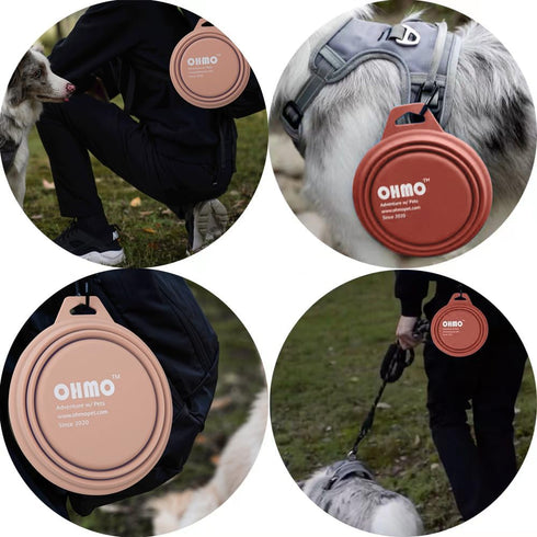 Large Collapsible Dog Bowls, (2 Pack 27oz/800ml) Premium Silicone Portable Travel Water Food Foldable Bowls Pet Feeding Bowl for Outdoor Camping H...