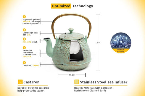 TOPTIER Japanese Teapot with Stainless Steel Infuser, Cast Iron Tea Kettle Stovetop Safe, Leaf Design Coated with Enameled Interior for 32 Ounce (...