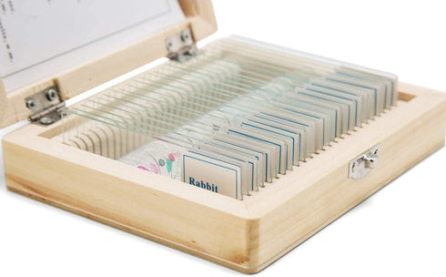 25 PCS Prepared Premade Microscope Slide Set with Specimen for Basic Biological Science Education...