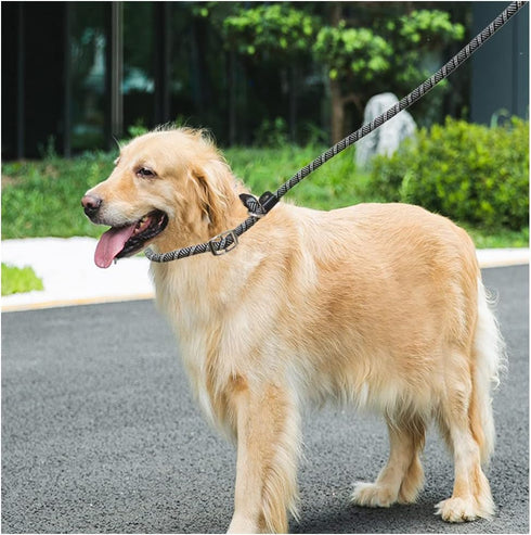 10FT / 20FT Long Slip Lead Dog Leash, 3/8" Thick Nylon Reflective Rope Anti-Choke Training Lead for Medium Large Dogs...