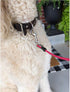 5 ft Dog Tie Out Cable Leash with Coated Steel Cable and Soft Padded Handle Dog Leashes for Medium Dog (Pink)...