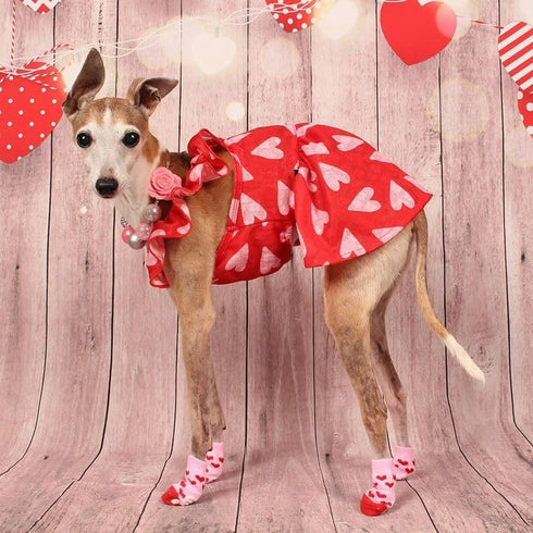 Fitwarm Valentines Day Sweet Heart Dog Dress, Dog Holiday Outfit, Dog Clothes for Small Dogs Girl, Pet Cat Apparel, Red, Pink, Small...