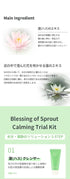 Blessing of Sprout Calming Trial Kit | Korean Skin Care Set w/ Cleanser, Toner, Serum, Eye Cream & Face Cream | Face Care Kit | K Beauty Skin Care...