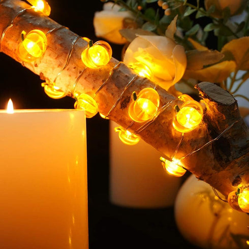 BOHON Pumpkin String Lights 10ft 40 LEDs Halloween Lights Battery Powered with Remote & Timer Decorative Lights for Thanksgiving Autumn Party Indo...