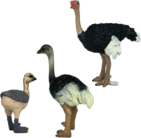 Gemini&Genius Ostrich Animal Action Figure Toys, Ostrich Animal Figurines Jungle Animal Playset Gift, Educational, Cake Toppers, Party Supplies, A...