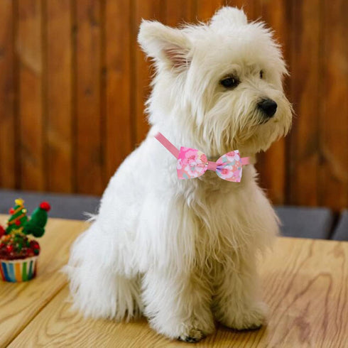 24Pcs Dog Adjustable Bow Tie,Dog Collar Puppy Neckties Dog Ties Adjustable Pet Collars Dog Grooming Accessories(Mixed Color)...