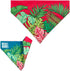 Max & Molly 2-in-1 No-Tie Reversible Pet Bandana for Collars - Vibrant Designs, Durable & Machine-Washable - Slide-On Fabric Accessory for Cats & ...
