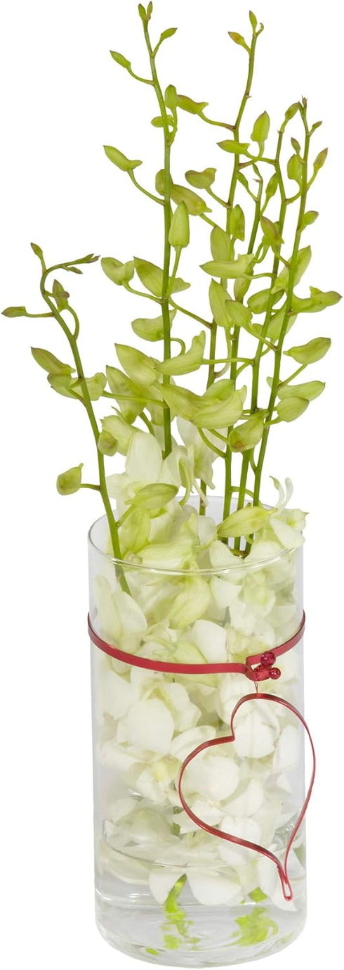 Floral Supply Online - 9" Tall x 3.5" Wide Cylinder Glass Vase and Flower Guide Booklet - for Weddings, Events, Decorating, Arrangements, Flowers,...