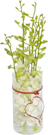 Floral Supply Online - 9" Tall x 3.5" Wide Cylinder Glass Vase and Flower Guide Booklet - for Weddings, Events, Decorating, Arrangements, Flowers,...