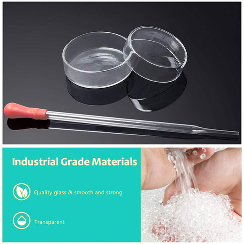 OLYCRAFT 6PCS Glass Petri Dishes High Borosilicate Glass Bacterial Culture Dishes with Lid 60mm Dia x 18mm Deep with 2pcs Glass Culture Plate for ...