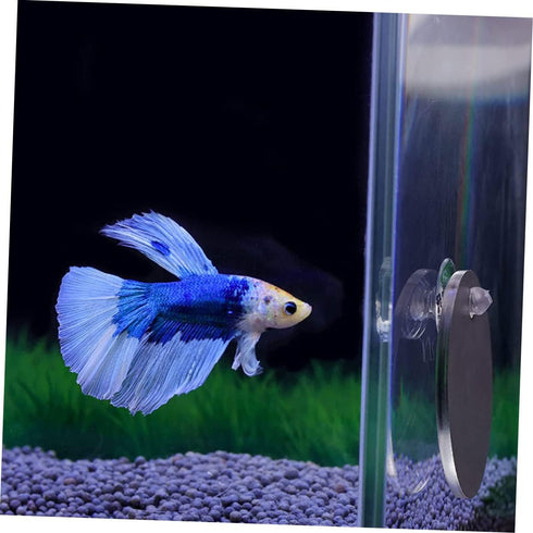 Fish Tank Accessories Beta Fish Tank 1 Set Betta Training Mirror Double Sided Mirror Acrylic Float 6cm Transparent Beta Fish Bowl Fish Tank Decor...