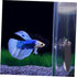 Fish Tank Accessories Beta Fish Tank 1 Set Betta Training Mirror Double Sided Mirror Acrylic Float 6cm Transparent Beta Fish Bowl Fish Tank Decor...