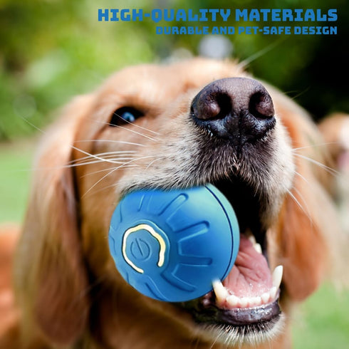 Bouncing Ball for Dogs - Fun Interactive Toy, USB Rechargeable, Durable Design, Water-Resistant for All Play Environments (Blue)...