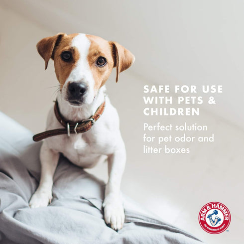 Arm & Hammer for Pets Air Care Energizing Reed Diffuser for Pets | 4 FL Oz Grapefruit Neroli Reed Diffuser to Eliminate Pet Odors | Reed Diffuser ...