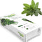Window Garden - Sage Herb Kit - Grow Your Own Food. Germinate Seeds on Your Windowsill Then Move to a Patio Planter or Vegetable Patch. Mini Green...