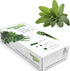 Window Garden - Sage Herb Kit - Grow Your Own Food. Germinate Seeds on Your Windowsill Then Move to a Patio Planter or Vegetable Patch. Mini Green...